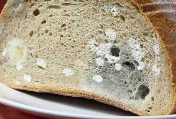 轻微发霉的面包能吃吗 发霉面包不要吃影响身体