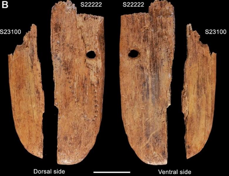 欧亚大陆发现最早的珠宝，4万年前就长这样（远古吊坠）