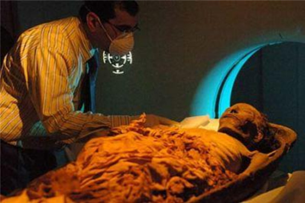埃及有多恐怖：木乃伊携带病菌（恐怖的陪葬文化）