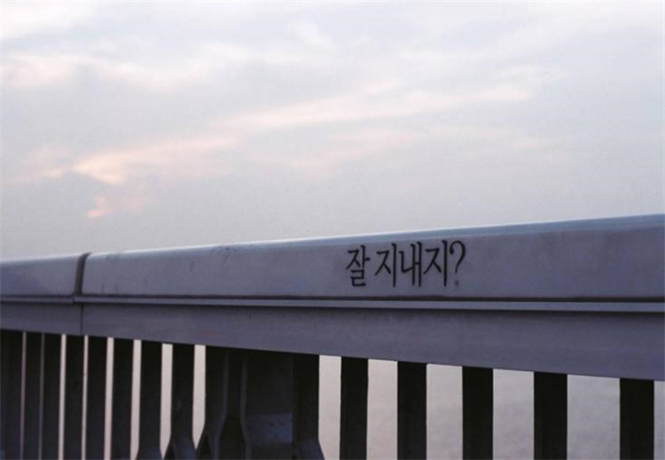 韩国的自杀大桥张贴暖心标语 为什么自杀率提高了？