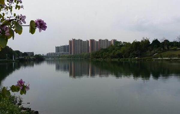 右江的源头在哪里 源自广西壮族自治区的澄碧河口
