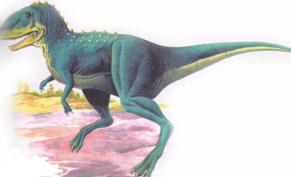 怪踝龙：阿根廷大型食肉恐龙（长8米/距今7000万年前）