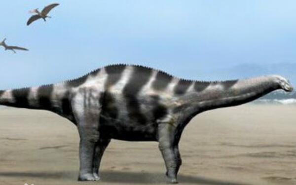 萨帕拉龙：阿根廷巨型恐龙（长20米/距今1.12亿年前）
