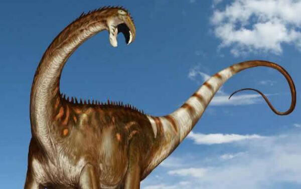 萨帕拉龙：阿根廷巨型恐龙（长20米/距今1.12亿年前）