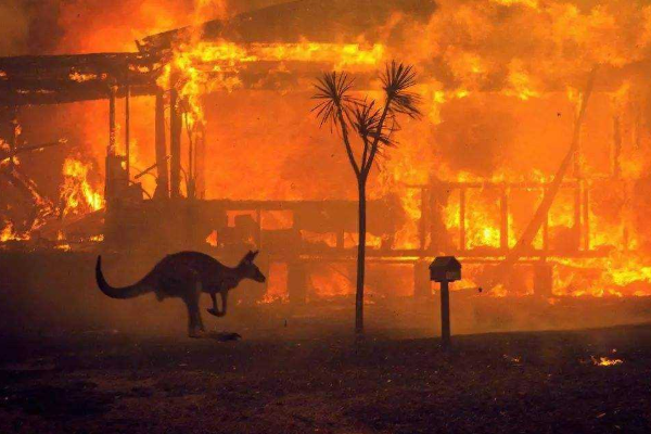 澳大利亚山火停了吗?停了，死30亿动物(41万公顷燃烧)