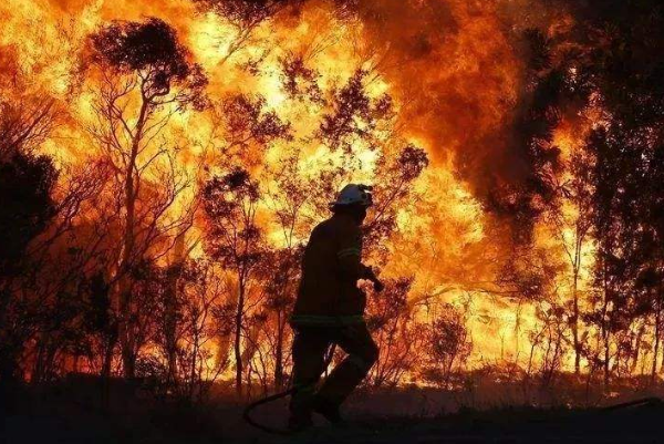 澳大利亚山火停了吗?停了，死30亿动物(41万公顷燃烧)