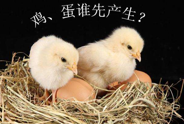 先有鸡还是先有蛋?两种答案，谜题揭晓(鸡的祖先是恐龙)