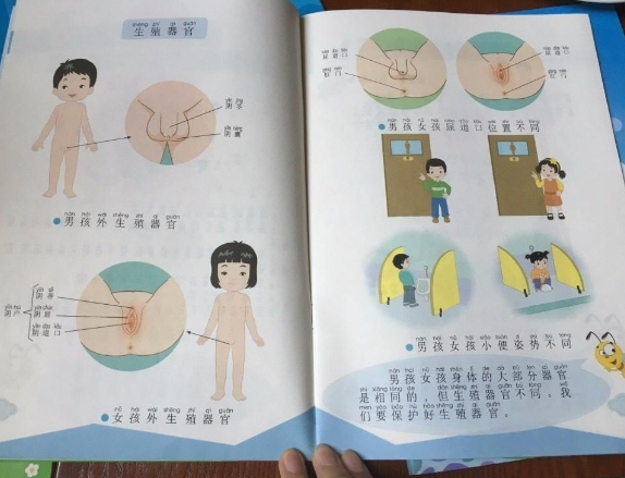 教科书带坏中小学生 性健康读本要不要这么露骨？（性教育）