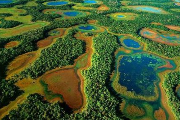 世界上最大的湿地:面积24万平方公里(比广东还要大)