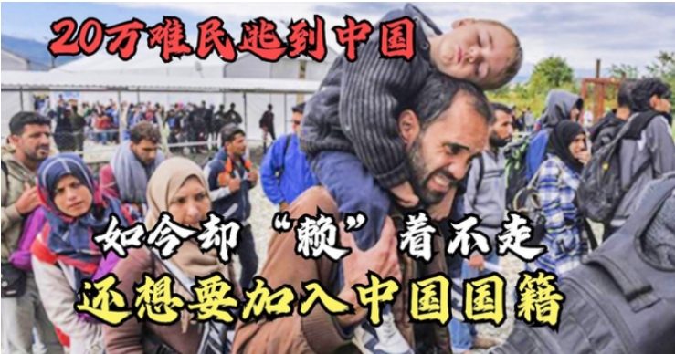 十多万难民来到中国 居然还想要中国国籍（大国气量）