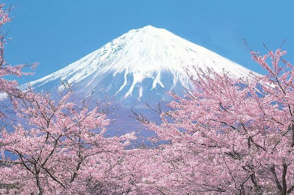 富士山是谁的私人财产：浅间神社（曾经是德川家康的）