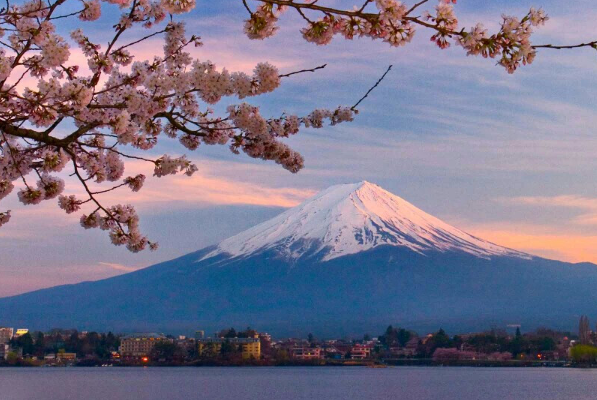 富士山是谁的私人财产：浅间神社（曾经是德川家康的）