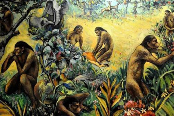 人类真正的起源是什么 类人猿（神创论没有证据）