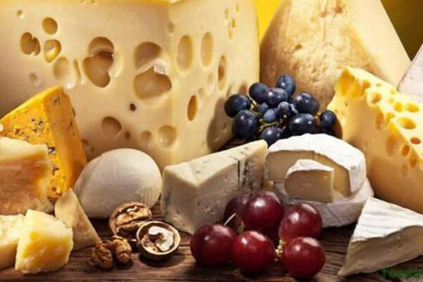 世界著名的奶酪国家 法国被称为奶酪王国(一千多种奶酪种类)