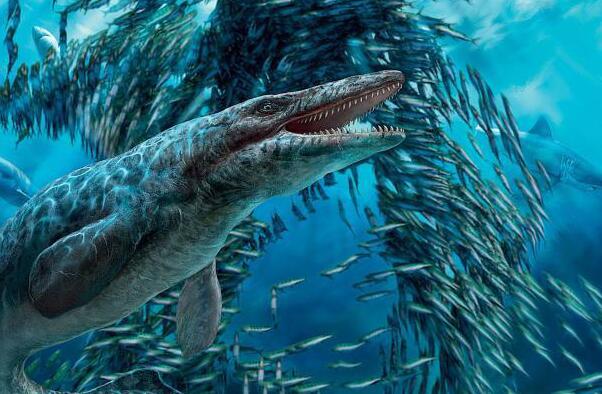 史前最大海洋生物：霍夫曼沧龙，长达17.3米重16吨