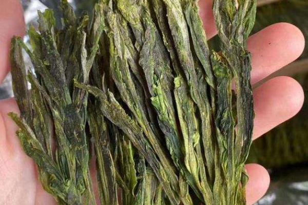 世界上最贵的绿茶:泡后会散发兰花香(每公斤价值200万)