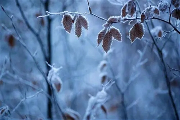 霜降是什么意思啊：天气寒冷（秋季结束）