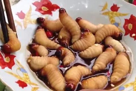 200元一斤的高价的菲律宾蠕虫面条“蛆”，竟还有人（抢着吃）