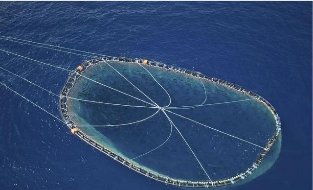 近海渔场面临巨大危机，餐桌上的海鲜减产迅速！（急需保护）