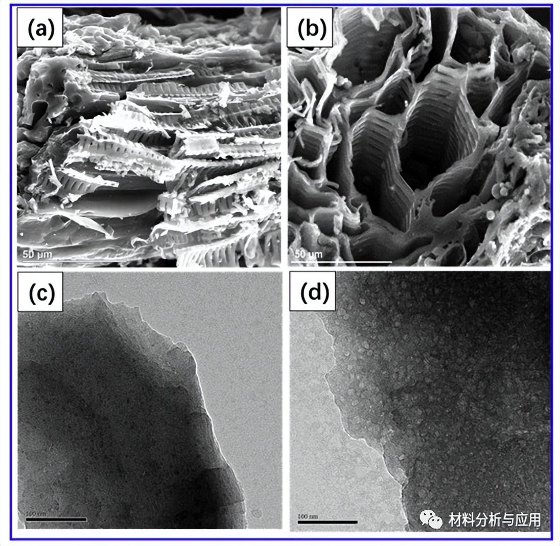 天津科技大学：鱼腥草衍生氮掺杂多孔碳，用于高性能超级电容器