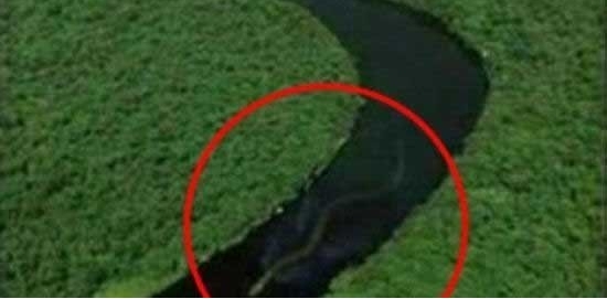 神秘的百英尺巨蛇出现在婆罗洲（神秘巨蛇引发热议）