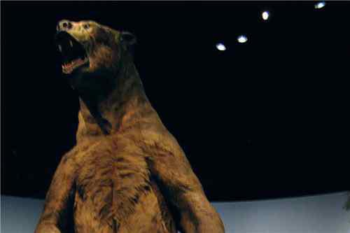 史前巨型生物：短面熊，重量可达3400斤（史前巨兽）