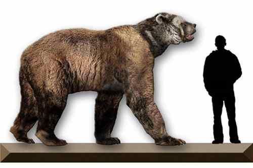 史前巨型生物：短面熊，重量可达3400斤（史前巨兽）