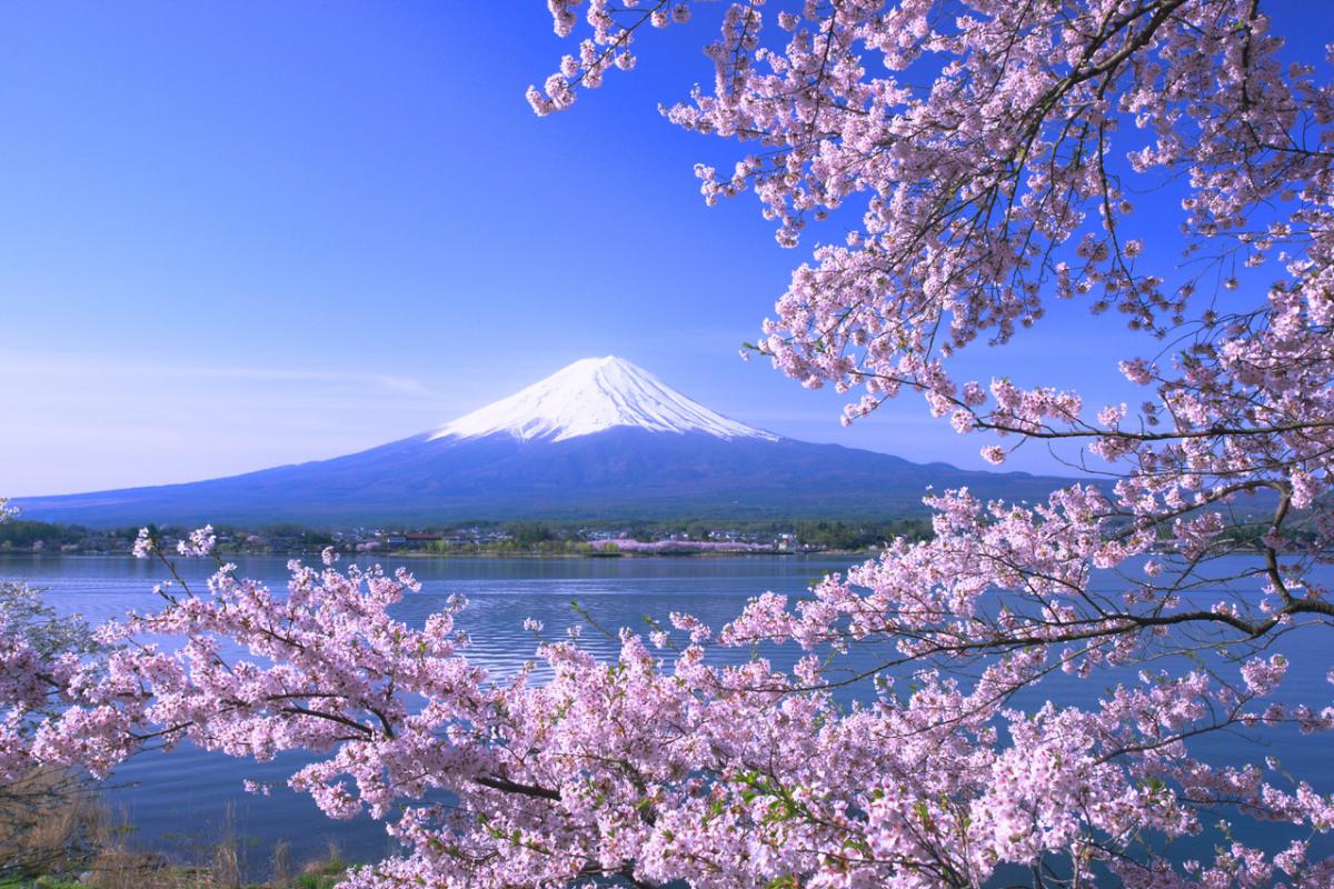 如果日本富士山大爆发，有多可怕的后果（对我国没影响）