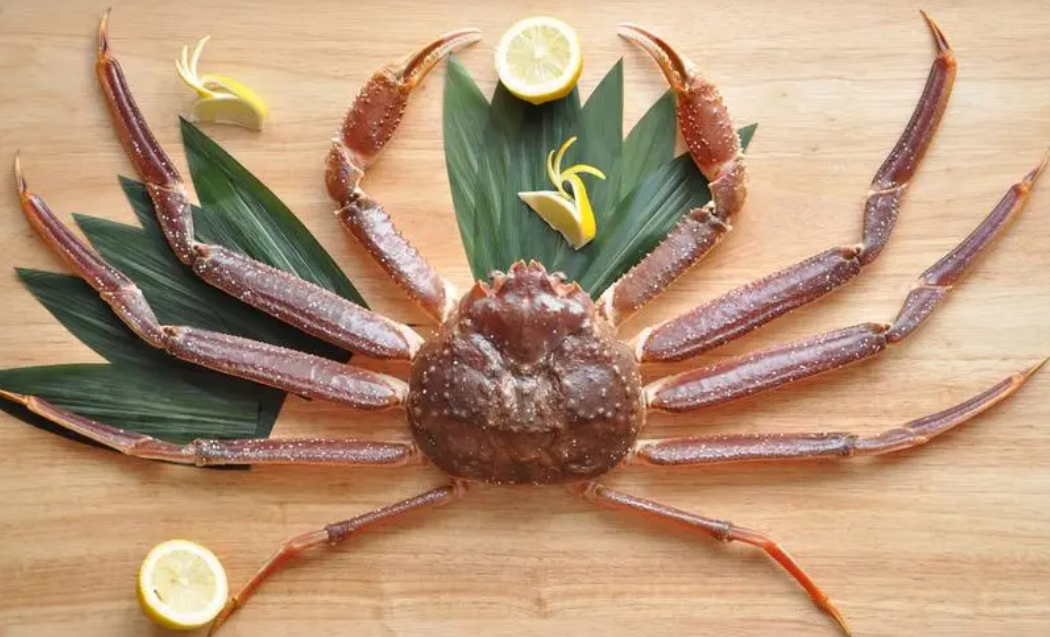 世界上最奇特的三种螃蟹  椰子蟹体长可达1米（椰子蟹）