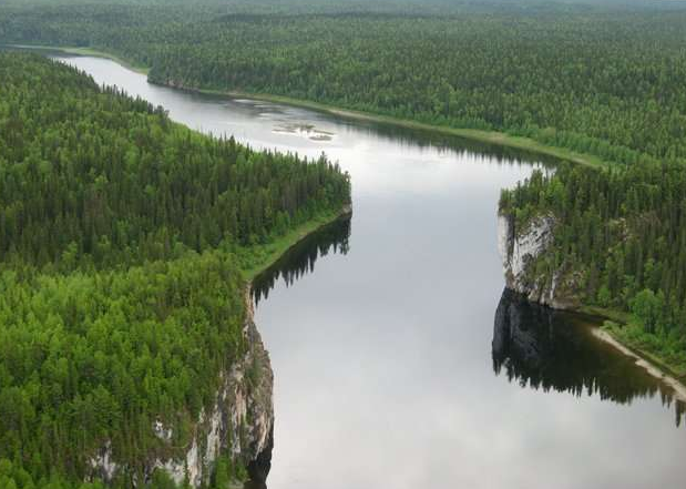 世界三大森林面积国家 俄罗斯第一 （自然资源丰富）