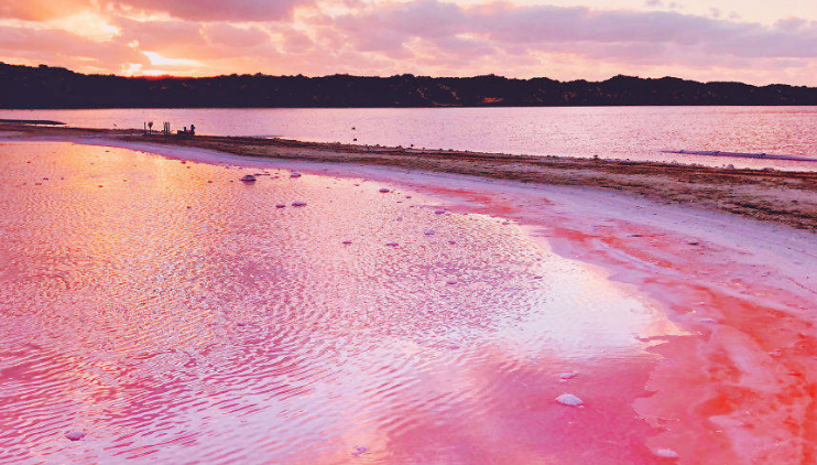 世界上最浪漫的湖泊 湖面粉红色（玫瑰湖）