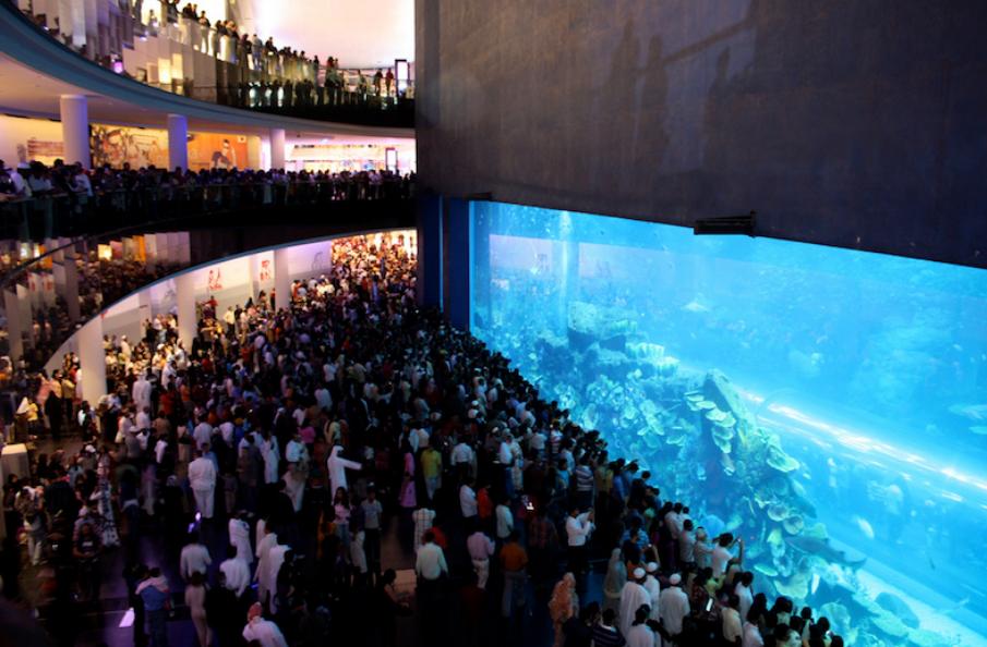 世界三大水族馆 第一有10万只海洋生物（乔治亚水族馆）