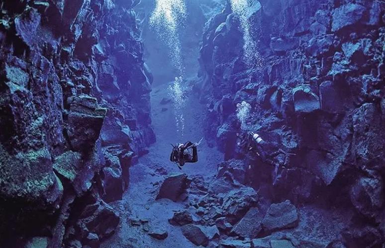 世界海洋最深处的鱼 八千米深渊（马里亚纳狮子鱼）