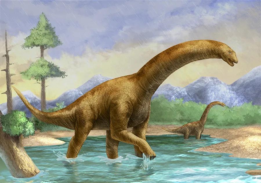 万年前称霸地球的恐龙灭绝的原因到底是什么？（小行星撞地球）