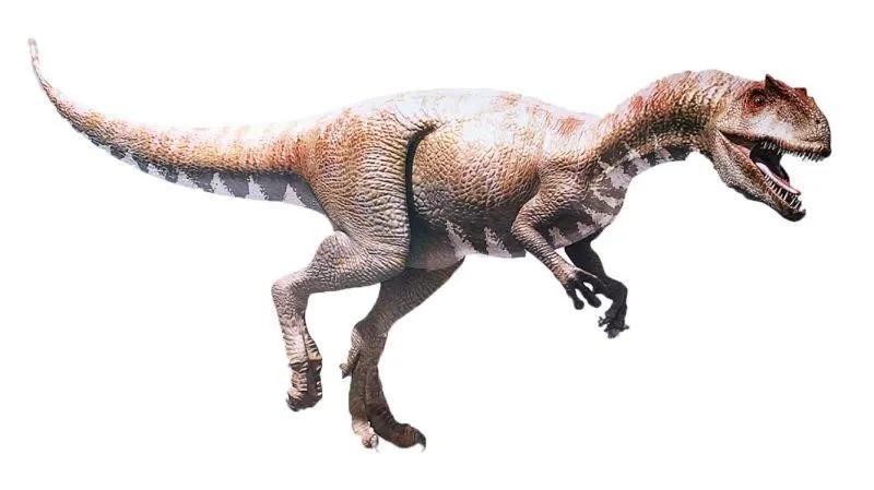 万年前称霸地球的恐龙灭绝的原因到底是什么？（小行星撞地球）