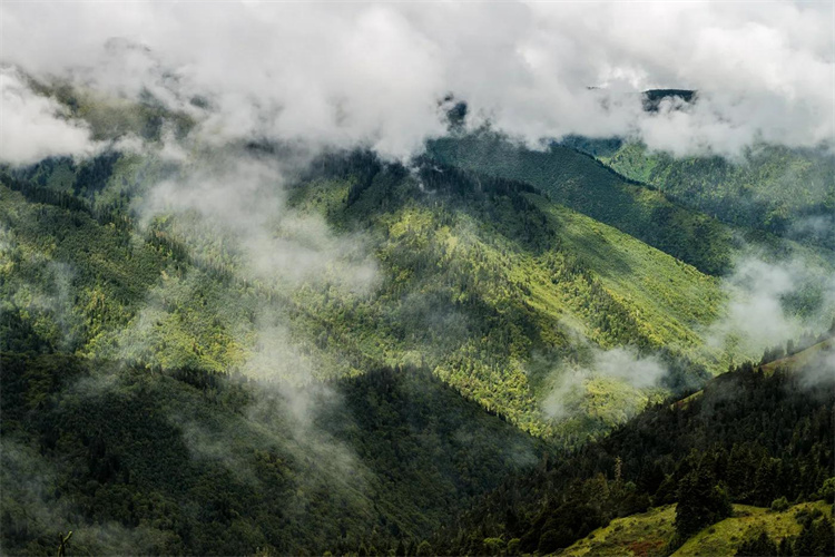 有三人擅闯秦岭境地，一人居然失踪了，秦岭禁地到底有多可怕