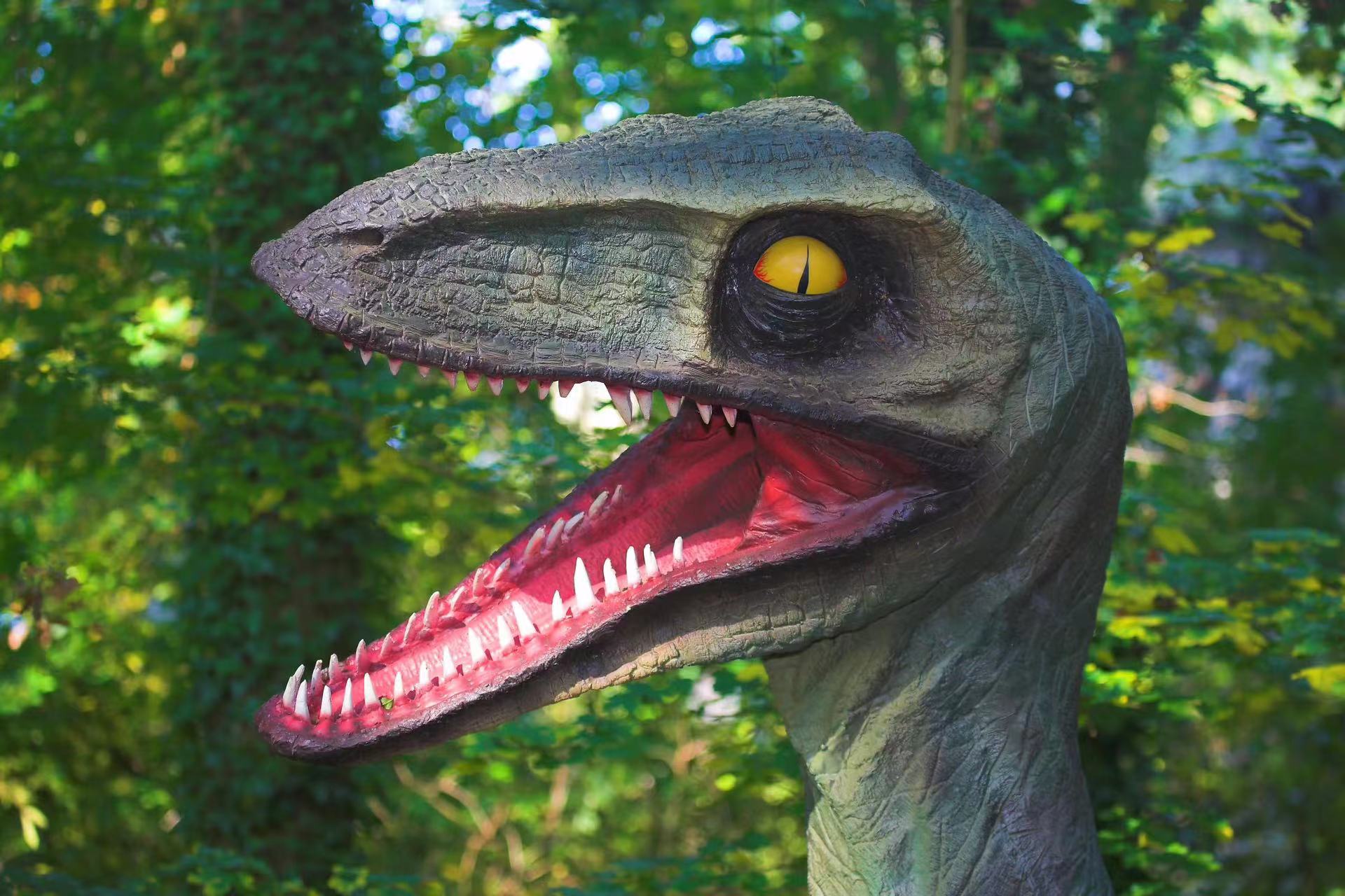 恐龙真的全部灭绝了吗？恐龙的一支后裔：数量竟比全人类还要多