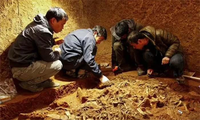 陕西古墓发现27吨国宝 老农民知道主人身份（陕西古墓）