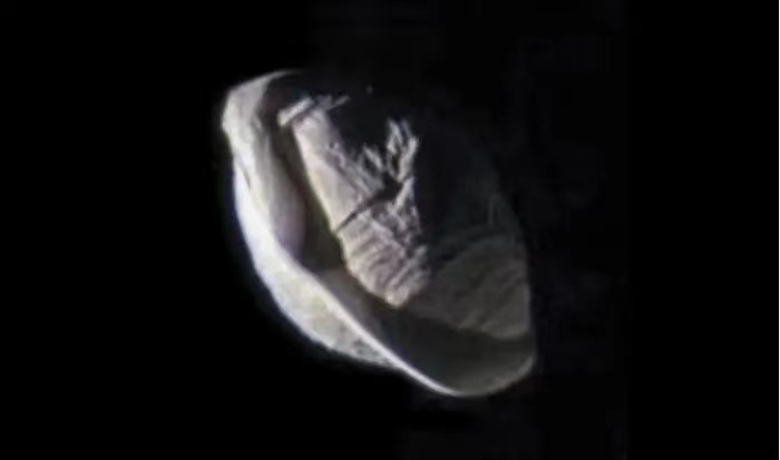 土星的奇葩卫星，有的像飞碟，有的像宇宙飞船，它们是从哪来的？