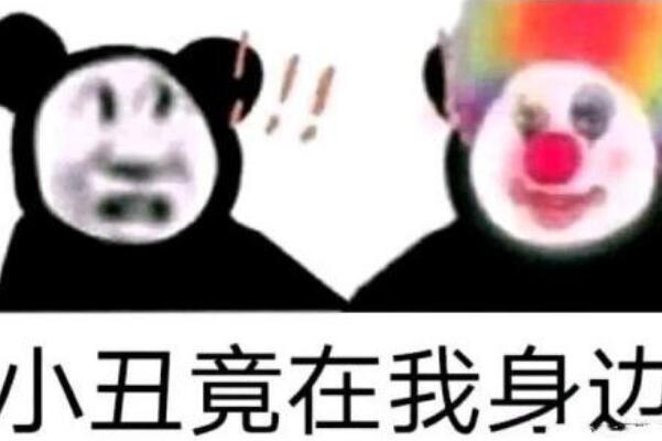 小丑竟是我自己是什么意思(对自己经历的滑稽可笑的自嘲)