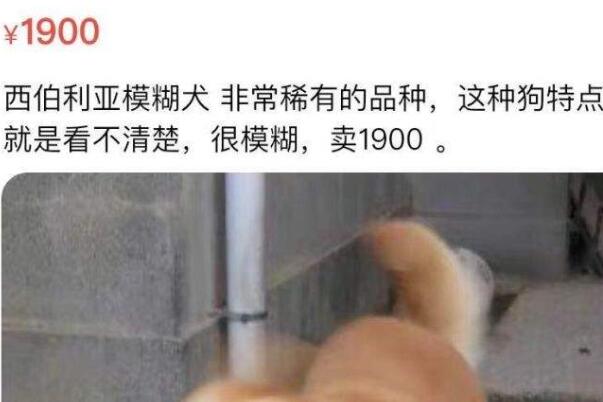 闲鱼文学是什么意思(卖家为了推销商品绞尽脑汁编故事)