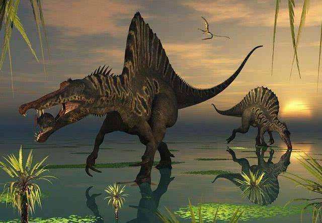 6500万年前或是6mm厚度的材料掠走了无数条恐龙的生命