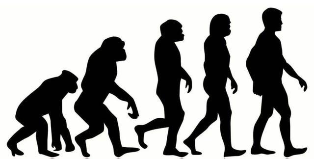 达尔文的进化论再遭质疑，原因在于一个极其神秘的物种身上