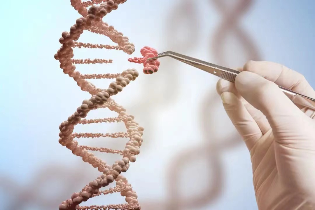 生命科学研究取得突破！人体基因能被改写 科学家 人造人或成现实