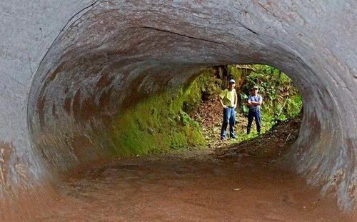 厄瓜多尔发现远古地下隧道，全长4千公里，洞内十分豪华