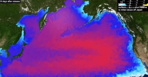 日本人想把核废水排放到海里，会对我国造成什么影响？（核污染）