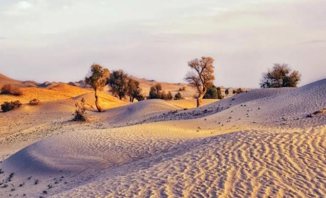 全球沙子居然能够短缺，这究竟是怎么回事？（能源短缺）