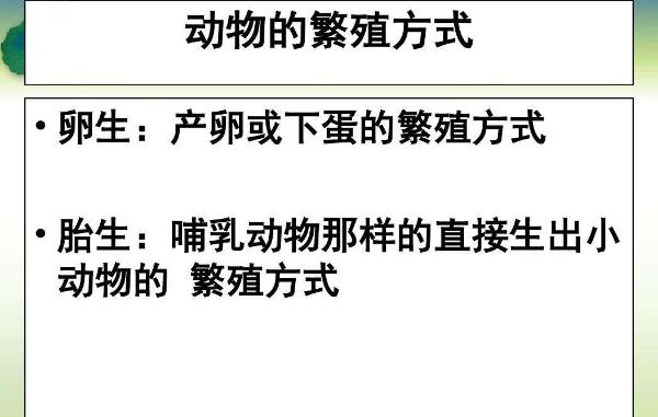 人类繁殖的方式太恶心了:过程恶心,女人生产太痛苦 