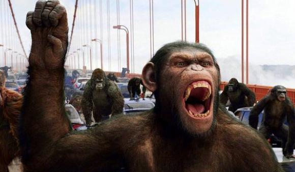 巴拿马的猴子已经会用工具了，未来会不会形成文明？（新型文明）