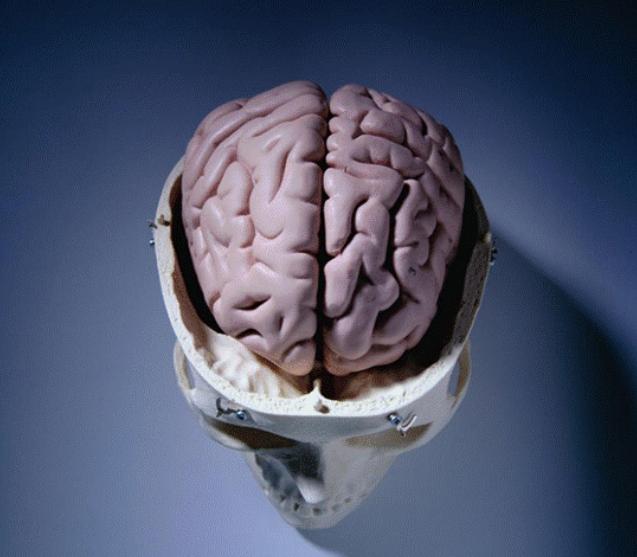 脑机接口技术，是不是可以让人类永生？（未来技术）
